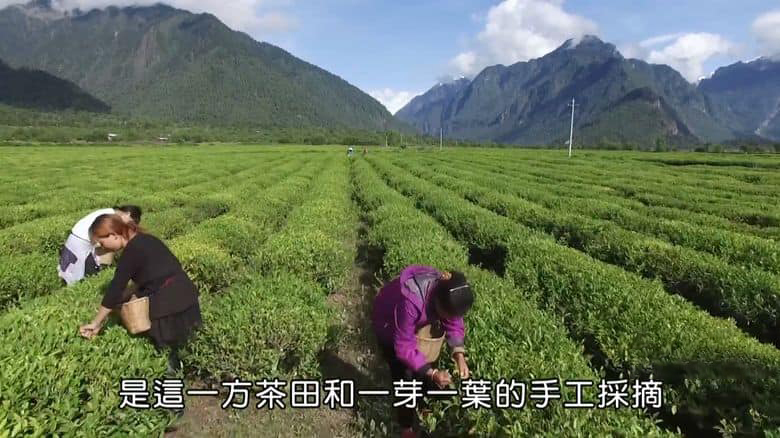国产纪录片《路见西藏 Into Tibet 2019》全5集 国语中字 1080P/MKV/7.51G 西藏故事插图3