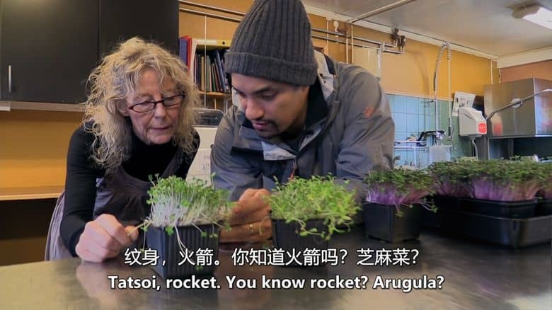 BBC纪录片《冰雪小镇：生活的边缘 Ice Town: Life on the Edge 2016》第一季全10集 英语中英双字 无水印纯净版 1080P/MKV/27.9G 北极圈生活插图6