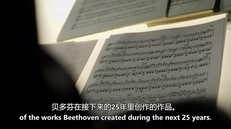 英国纪录片《贝多芬的遗书 The Beethoven Files 2014》英语中英双字 无水印纯净版 1080P/MKV/1.75G 贝多芬档案插图1