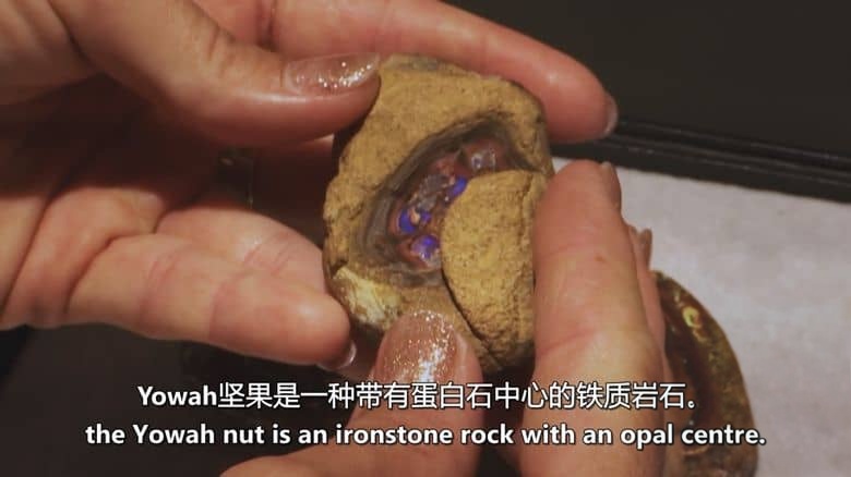 探索频道《澳洲蛋白石猎人 Outback Opal Hunters 2025》第14季全12集 英语中英双字 无水印纯净版 1080P/MKV/33.7G 澳洲宝石猎人插图3 探索频道《澳洲蛋白石猎人 Outback Opal Hunters 2025》第14季全12集 英语中英双字 无水印纯净版 1080P/MKV/33.7G 澳洲宝石猎人插图3