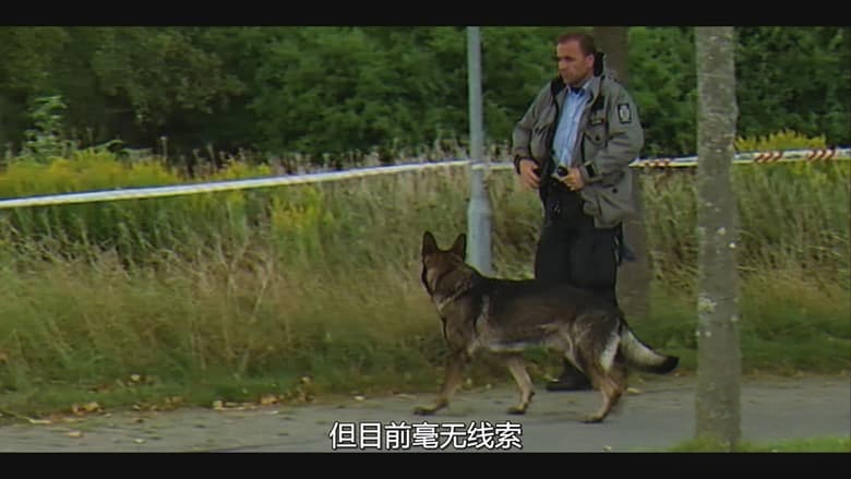 丹麦纪录片《消失的丹麦女孩:这位朋友,那位凶手 A Friend, A Murderer 2026》全3集 丹麦语多国字幕 无水印纯净版 1080P/MKV/6.85G 消失的丹麦女孩插图4 丹麦纪录片《消失的丹麦女孩:这位朋友,那位凶手 A Friend, A Murderer 2026》全3集 丹麦语多国字幕 无水印纯净版 1080P/MKV/6.85G 消失的丹麦女孩插图4