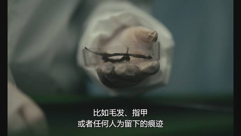 Netflix纪录片《凶手嫁不嫁:未婚妻搜证实录 Should I Marry A Murderer? 2026》全3集 英语多国字幕 无水印纯净版 1080P/MKV/5.88G 真爱跨越罪恶插图4 Netflix纪录片《凶手嫁不嫁:未婚妻搜证实录 Should I Marry A Murderer? 2026》全3集 英语多国字幕 无水印纯净版 1080P/MKV/5.88G 真爱跨越罪恶插图4