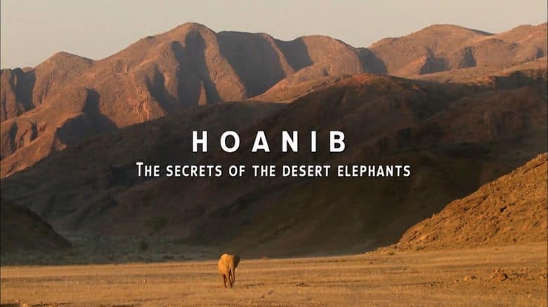 美国纪录片《霍尼布山谷 Hoanib 2013》英语中英双字 无水印纯净版 1080P/MKV/2.97G 纳米布沙漠插图1