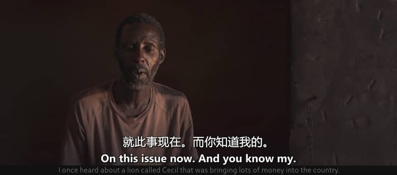 英国纪录片《塞西尔：狮子与牙医 Cecil: The Lion and the Dentist 2026》英语中英双字 无水印纯净版 1080P/MKV/1.31G 人与野生动物的共生插图4