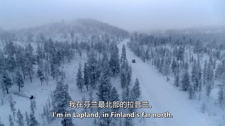 BBC纪录片《驯鹿家族与我 Reindeer Family And Me 2017》英语中英双字 无水印纯净版 1080P/MKV/1.93G 驯鹿家族插图1 BBC纪录片《驯鹿家族与我 Reindeer Family And Me 2017》英语中英双字 无水印纯净版 1080P/MKV/1.93G 驯鹿家族插图1