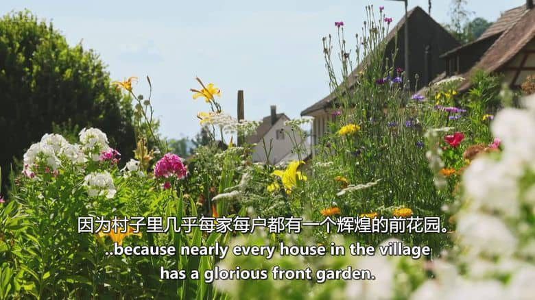 BBC纪录片《蒙蒂·唐的莱茵河花园 Monty Don’s Rhineland Gardens 2026》英语中英双字 无水印纯净版 1080P/MKV/8.57G 英国园艺大师插图7