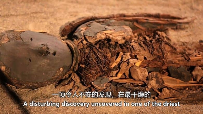 加拿大纪录片《沙中的秘密 Secrets in the Sand 2023》全6集 英语中英双字 无水印纯净版 1080P/MKV/16.2G 被埋葬的秘密插图1 加拿大纪录片《沙中的秘密 Secrets in the Sand 2023》全6集 英语中英双字 无水印纯净版 1080P/MKV/16.2G 被埋葬的秘密插图1