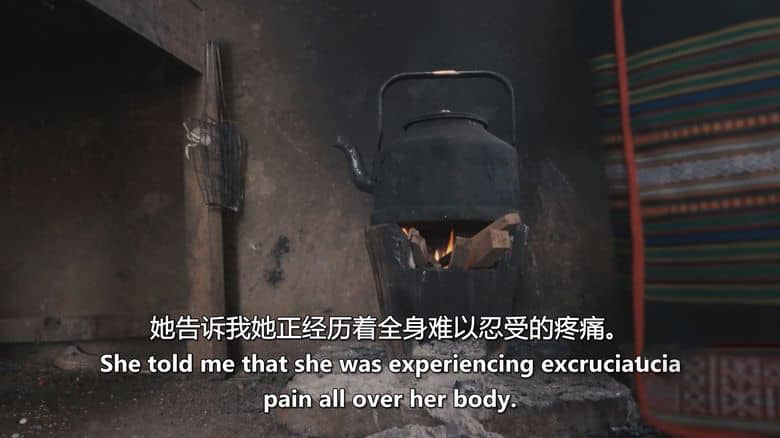 法国纪录片《土地掠夺者 Land Looters 2026》法语中英双字 无水印纯净版 1080P/MKV/1.25G 捍卫生态插图3 法国纪录片《土地掠夺者 Land Looters 2026》法语中英双字 无水印纯净版 1080P/MKV/1.25G 捍卫生态插图3
