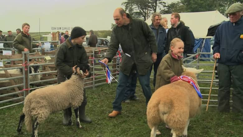 英国纪录片《牧羊成痴 Addicted to Sheep 2015》英语中英双字 无水印纯净版 1080P/MKV/1.43G 牧羊生活插图6 英国纪录片《牧羊成痴 Addicted to Sheep 2015》英语中英双字 无水印纯净版 1080P/MKV/1.43G 牧羊生活插图6