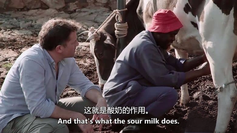 英国纪录片《南非滋味 A Taste of South Africa 2017》全10集 英语中英双字 无水印纯净版 1080P/MKV/13.7G 南非美食插图4 英国纪录片《南非滋味 A Taste of South Africa 2017》全10集 英语中英双字 无水印纯净版 1080P/MKV/13.7G 南非美食插图4