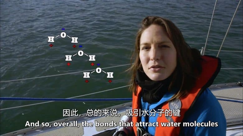 英国纪录片《气泡科学 The Science of Bubbles 2013》英语中英双字 无水印纯净版 1080P/MKV/3.14G 气泡科学插图2 英国纪录片《气泡科学 The Science of Bubbles 2013》英语中英双字 无水印纯净版 1080P/MKV/3.14G 气泡科学插图2