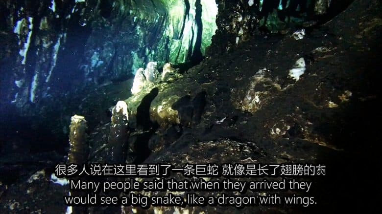 日本纪录片《沉洞泉 CENOTE 2019》西班牙语语中英双字 无水印纯净版 1080P/MKV/4.73G 玛雅文明探索插图3