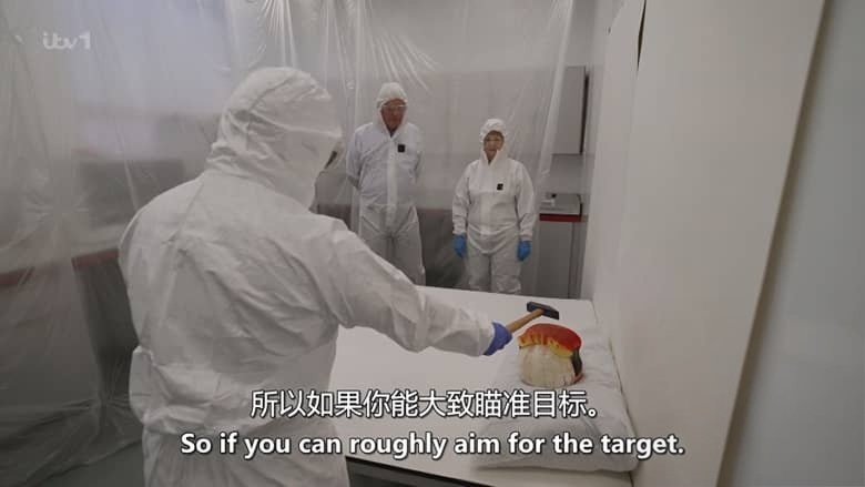 ITV纪录片《追猎“银色杀手” Hunting the Silver Killer 2026》英语中英双字 无水印纯净版 1080P/MKV/503M 凶案背后插图4