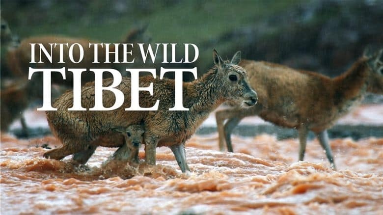 美国纪录片《走进荒野西藏 Into the Wild Tibet 2020》英语中英双字 无水印纯净版 1080P/MKV/2.84G 生态西藏插图 美国纪录片《走进荒野西藏 Into the Wild Tibet 2020》英语中英双字 无水印纯净版 1080P/MKV/2.84G 生态西藏插图