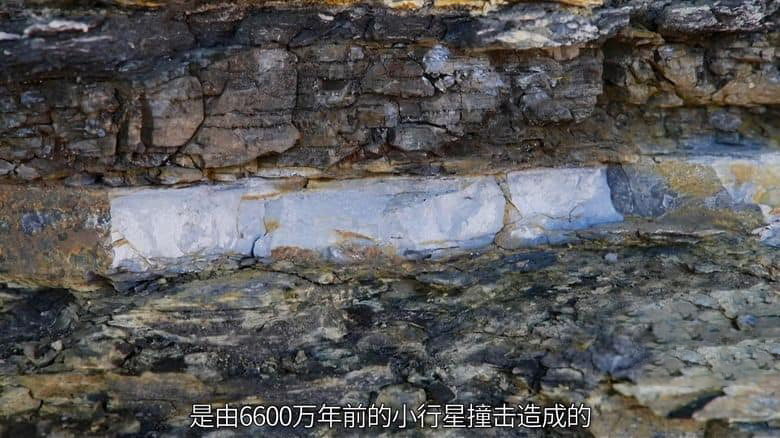NHK纪录片《恐龙超世界2 Amazing Dinoworld 2 2023》全6集 英语中字 无水印纯净版 1080P/MP4/4.83G 恐龙纪录片插图2 NHK纪录片《恐龙超世界2 Amazing Dinoworld 2 2023》全6集 英语中字 无水印纯净版 1080P/MP4/4.83G 恐龙纪录片插图2