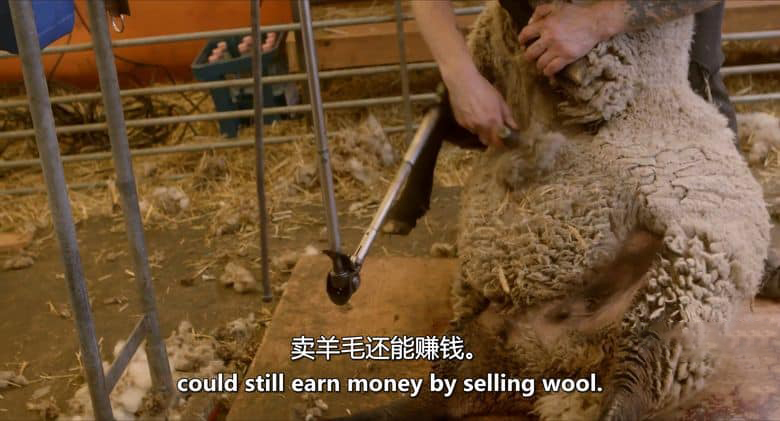 美国纪录片《牧民 Herders 2022》全5集 英语中英双字 无水印纯净版 1080P/MKV/5.99G 牧民生活插图2