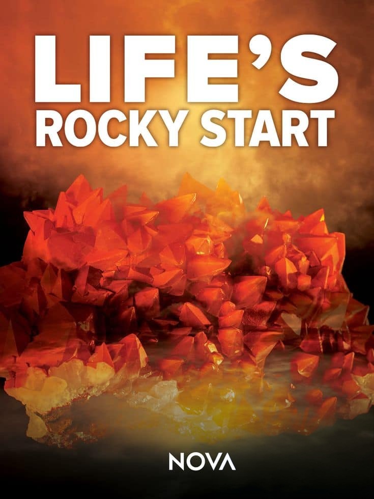 PBS纪录片《人类的艰难开端 Life’s Rocky Start 2016》英语中英双字 无水印纯净版 1080P/MKV/3.26G 人类的坎坷开始插图 PBS纪录片《人类的艰难开端 Life’s Rocky Start 2016》英语中英双字 无水印纯净版 1080P/MKV/3.26G 人类的坎坷开始插图