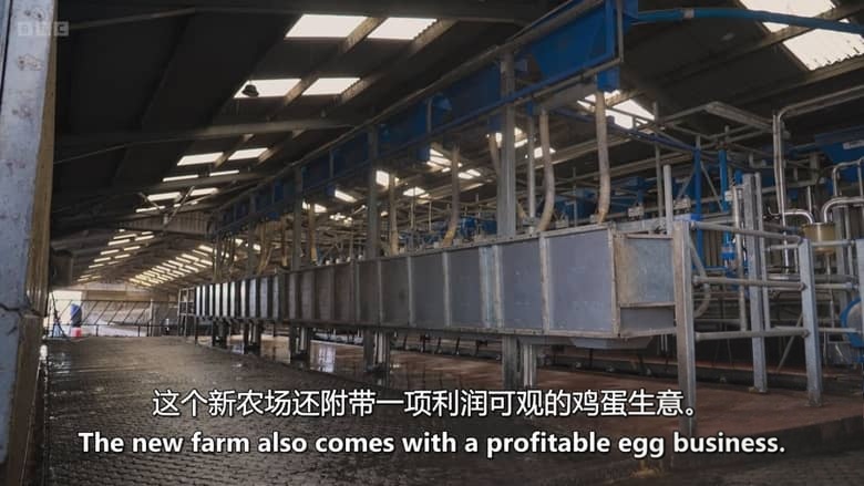 BBC纪录片《农耕生活 This Farming Life 2026》第8季全12集 英语中英字幕 官方纯净收藏版 1080P/MKV/27.3G 农场生活插图6