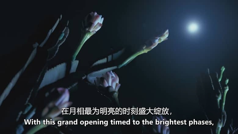 Sky纪录片《月球:大自然的神秘力量 Moon: Nature’s Secret Force 2025》全3集 英语中英双字 无水印纯净版 1080P/MKV/3.31G 月球对地球的影响插图1 Sky纪录片《月球:大自然的神秘力量 Moon: Nature’s Secret Force 2025》全3集 英语中英双字 无水印纯净版 1080P/MKV/3.31G 月球对地球的影响插图1