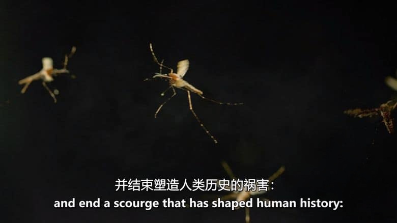 PBS纪录片《战胜疟疾之战 The Battle to Beat Malaria 2023》英语中英双字 无水印纯净版 1080P/MKV/2.24G 最致命的疾病插图1 PBS纪录片《战胜疟疾之战 The Battle to Beat Malaria 2023》英语中英双字 无水印纯净版 1080P/MKV/2.24G 最致命的疾病插图1