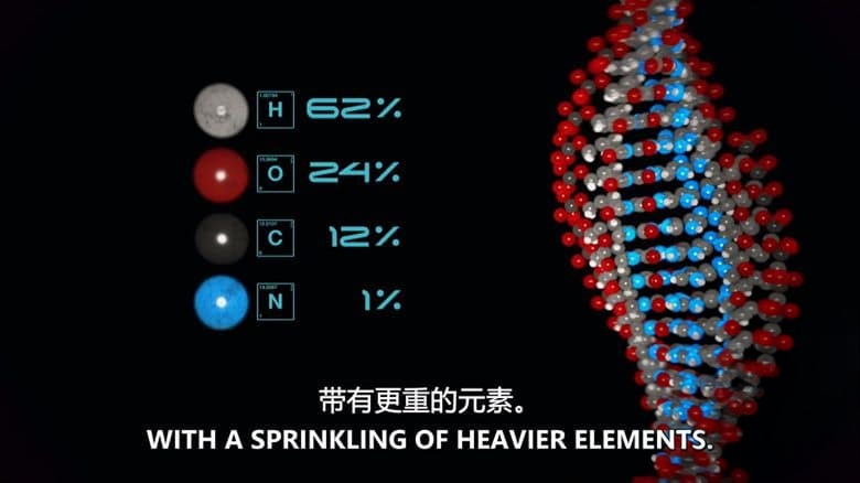 西班牙纪录片《寻找外太空生命 Finding Life in Outer Space 2020》英语中英双字 无水印纯净版 1080P/MKV/2.48G 寻找地外生命插图2