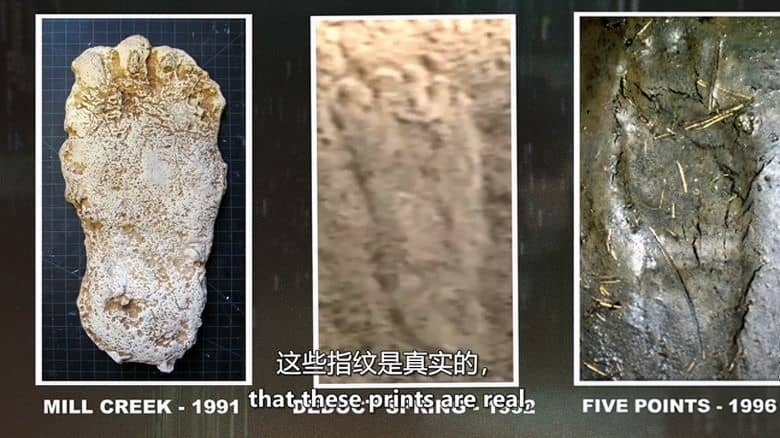 历史频道《证据就在那里 The Proof is Out There 2022》第4季全18集 英语中英双字 官方纯净版 1080P/MKV/39.7G 神秘事件调查插图7 历史频道《证据就在那里 The Proof is Out There 2022》第4季全18集 英语中英双字 官方纯净版 1080P/MKV/39.7G 神秘事件调查插图7