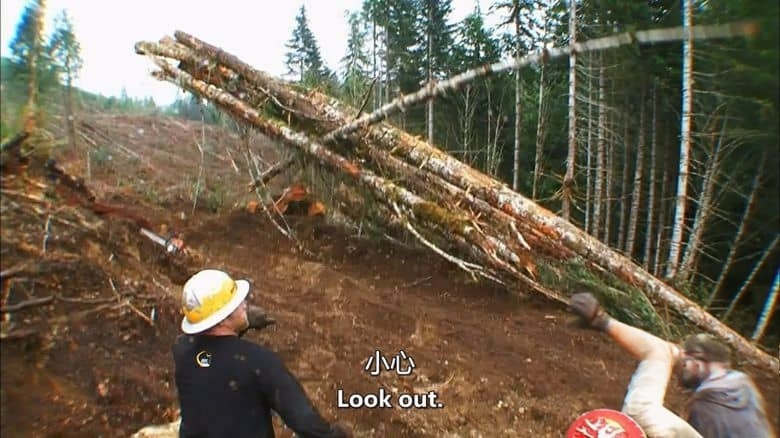 历史频道《伐木工 Ax Men 2008-2016》第1-4季全59集 英语中英双字 无水印纯净版 1080P/MKV/361G 伐木英雄插图3 历史频道《伐木工 Ax Men 2008-2016》第1-4季全59集 英语中英双字 无水印纯净版 1080P/MKV/361G 伐木英雄插图3