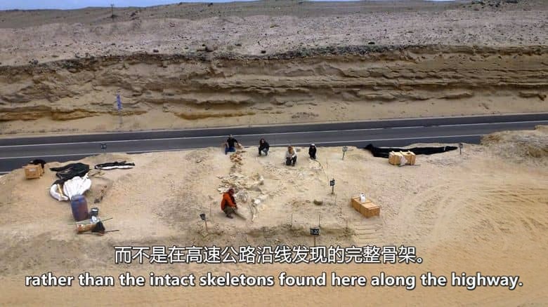 加拿大纪录片《沙中的秘密 Secrets in the Sand 2023》全6集 英语中英双字 无水印纯净版 1080P/MKV/16.2G 被埋葬的秘密插图5 加拿大纪录片《沙中的秘密 Secrets in the Sand 2023》全6集 英语中英双字 无水印纯净版 1080P/MKV/16.2G 被埋葬的秘密插图5