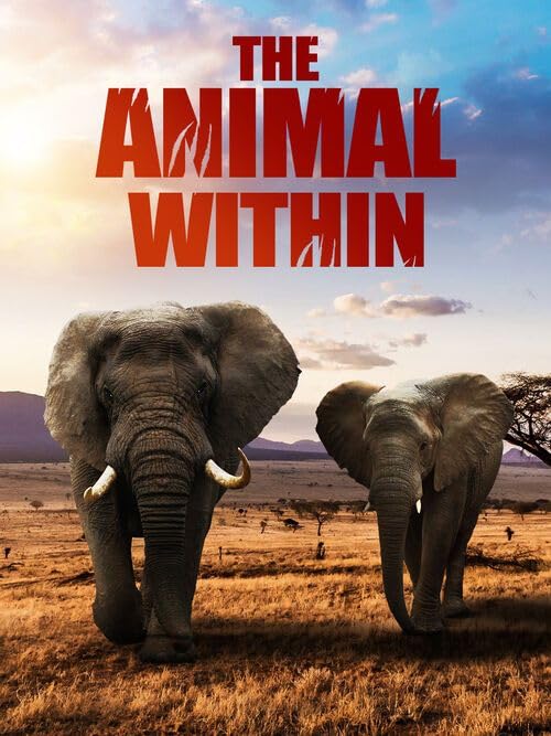 加拿大纪录片《动物本能 The Animal Within 2020-2026》第1-2季全12集 英语中英双字 无水印纯净版 1080P/MKV/21.6G 动物超能力插图