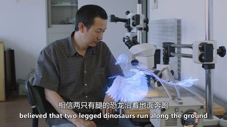法国纪录片《新史前史 A New Prehistory 2016》全3集 英语中英双字 无水印纯净版 1080P/MKV/6.32G 史前文明插图2 法国纪录片《新史前史 A New Prehistory 2016》全3集 英语中英双字 无水印纯净版 1080P/MKV/6.32G 史前文明插图2