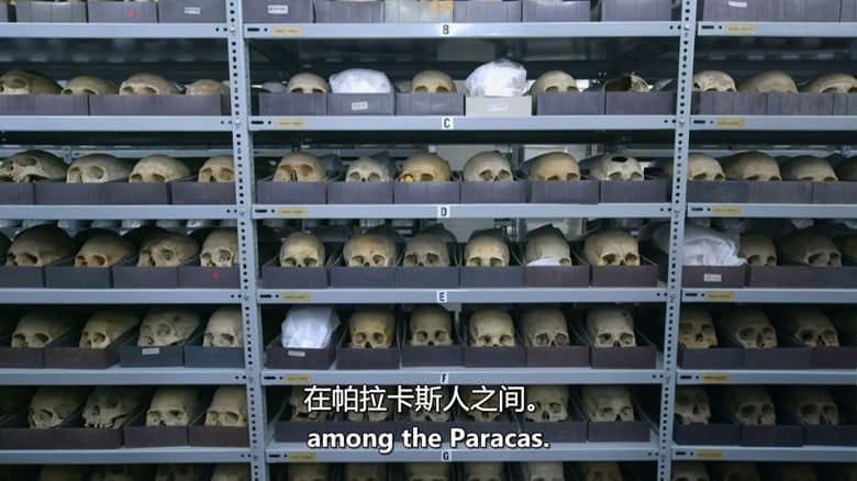 PBS纪录片《纳斯卡沙漠之谜 Nazca Desert Mystery 2022》英语中英双字 无水印纯净版 1080P/MKV/2.76G 纳斯卡沙漠插图5