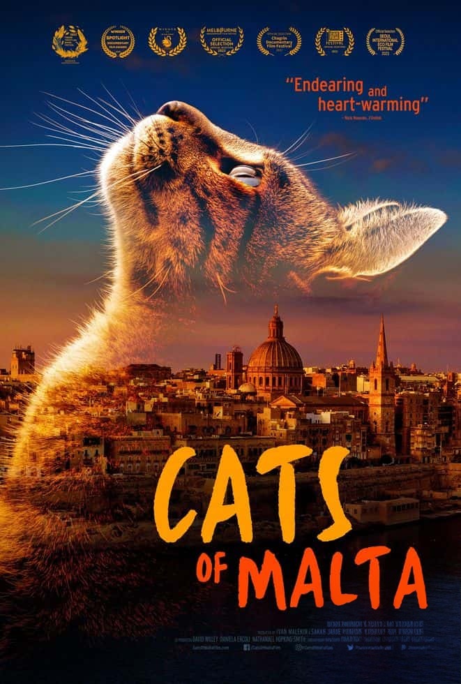 马耳他纪录片《马耳他的猫 Cats of Malta 2023》英语中英双字 无水印纯净版 1080P/MKV/1.23G 马耳他的猫插图