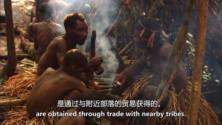 美国纪录片《俾格米人:绿神的痛苦 Pygmies: The Agony of the Green God 2012》英语中英双字 无水印纯净版 1080P/MKV/4.56G 俾格米人插图3 美国纪录片《俾格米人:绿神的痛苦 Pygmies: The Agony of the Green God 2012》英语中英双字 无水印纯净版 1080P/MKV/4.56G 俾格米人插图3
