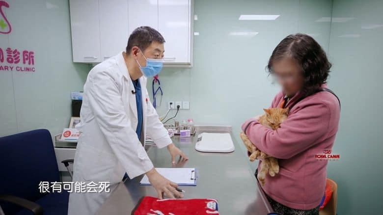 国产纪录片《小主安康－宠物医院 Animal.Hospital 2021》第2-3季全16集 国语中字 1080P/MP4/18.9G 宠物医院插图2