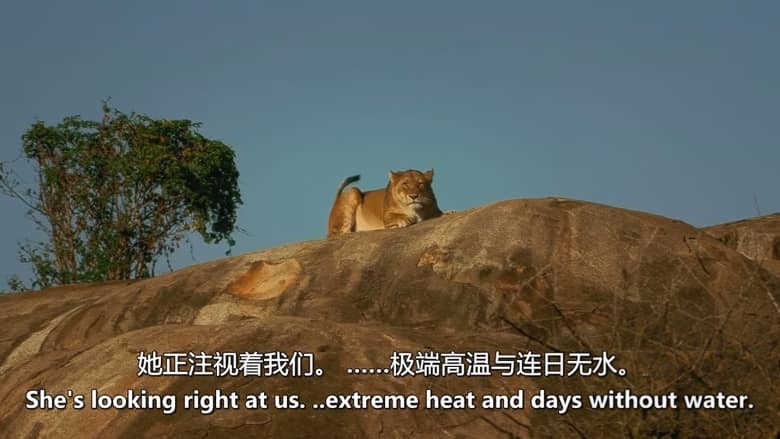CH4纪录片《非洲秘境：进入荒野 Secret Africa: Into The Wild 2026》全3集 英语中英双字 无水印纯净版 1080P/MKV/4.97G 对自然的理解插图1