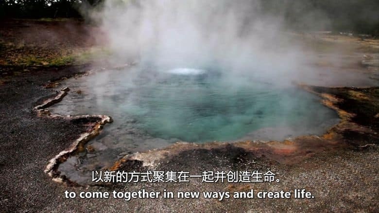PBS纪录片《人类的艰难开端 Life’s Rocky Start 2016》英语中英双字 无水印纯净版 1080P/MKV/3.26G 人类的坎坷开始插图5 PBS纪录片《人类的艰难开端 Life’s Rocky Start 2016》英语中英双字 无水印纯净版 1080P/MKV/3.26G 人类的坎坷开始插图5