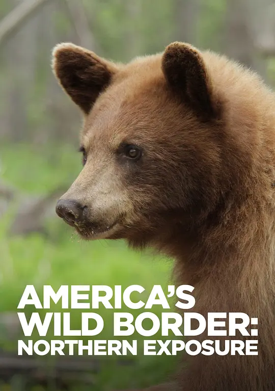 史密森尼频道《美国的狂野边境：北方荒野 America’s Wild Border: Northern Exposure 2020》英语中英双字 无水印纯净版 1080P/MKV/2.98G 美加边境生态插图