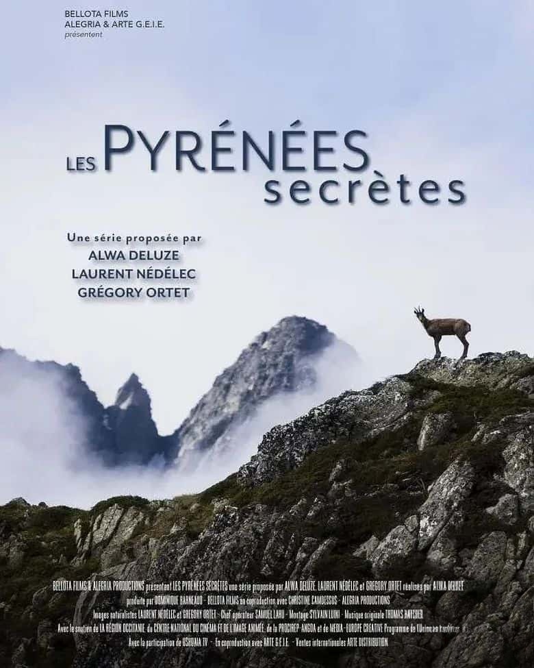 德国纪录片《野性比利牛斯山 Wilde Pyrenäen 2010》全3集 国语中字 央视译制版 1080P/TS/11.3G 比利牛斯山神奇动物插图 德国纪录片《野性比利牛斯山 Wilde Pyrenäen 2010》全3集 国语中字 央视译制版 1080P/TS/11.3G 比利牛斯山神奇动物插图