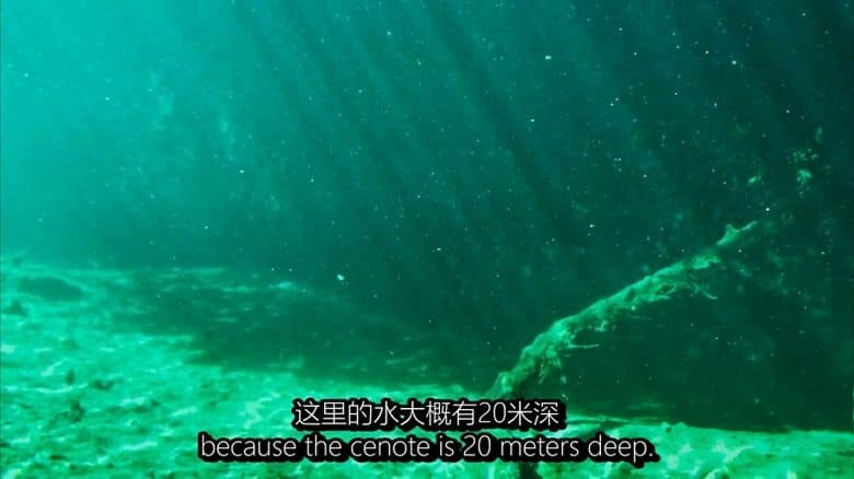 日本纪录片《沉洞泉 CENOTE 2019》西班牙语语中英双字 无水印纯净版 1080P/MKV/4.73G 玛雅文明探索插图1