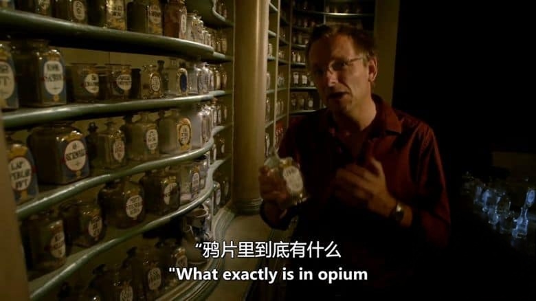 BBC纪录片《寻找现代药物 From Pain to Poison 2013》全3集 英语中英双字 无水印纯净版 1080P/MKV/6.26G 对抗疾病插图2