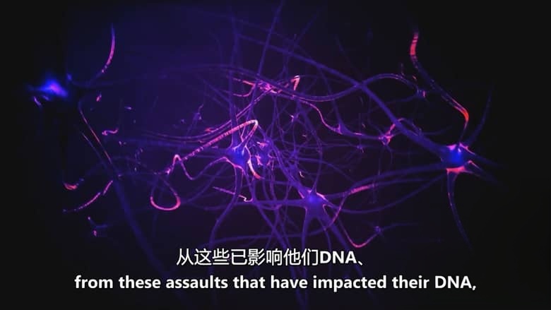 美国纪录片《通往揭秘之路：被加密的真相 Nexus to Disclosure: The Truth Is Classified 2025》英语中英双字 无水印纯净版 1080P/MKV/1.68G 不明飞行物现象插图5