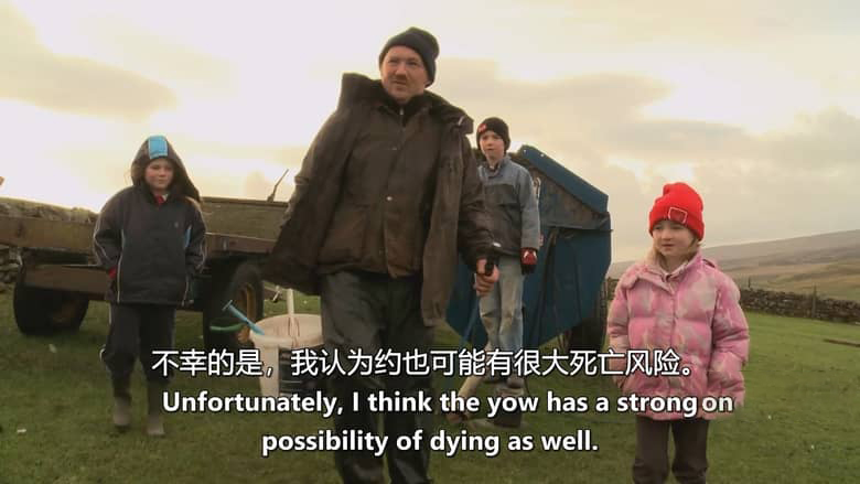 英国纪录片《牧羊成痴 Addicted to Sheep 2015》英语中英双字 无水印纯净版 1080P/MKV/1.43G 牧羊生活插图4 英国纪录片《牧羊成痴 Addicted to Sheep 2015》英语中英双字 无水印纯净版 1080P/MKV/1.43G 牧羊生活插图4