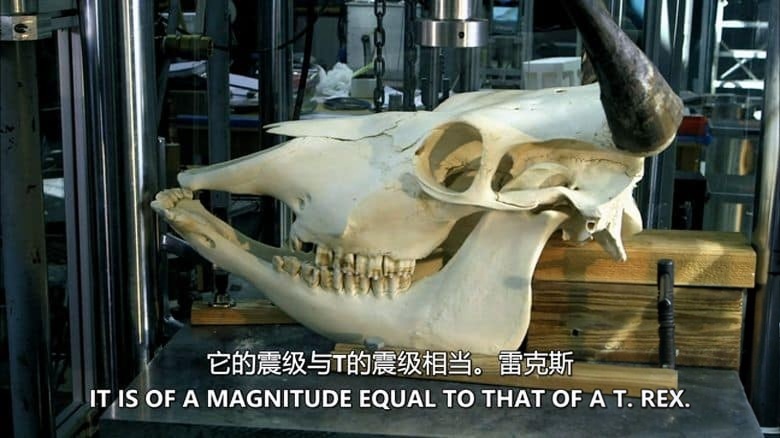 PBS纪录片《巨兽墓地 Graveyard of the Giant Beasts 2016》英语中英双字 无水印纯净版 1080P/MKV/4.53G 动物化石宝库插图4