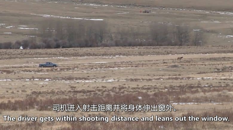 探索频道《黄石守护者 Yellowstone Wardens 2024》第4-6季全30集 英语中英双字 无水印纯净版 1080P/MKV/96.4G 黄石公园巡逻队插图2