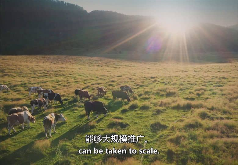美国纪录片《寻觅和谐:一位国王的愿景 Finding Harmony: A King’s Vision 2026》英语中英双字 无水印纯净版 1080P/MKV/1.64G 环保纪录片插图6 美国纪录片《寻觅和谐:一位国王的愿景 Finding Harmony: A King’s Vision 2026》英语中英双字 无水印纯净版 1080P/MKV/1.64G 环保纪录片插图6