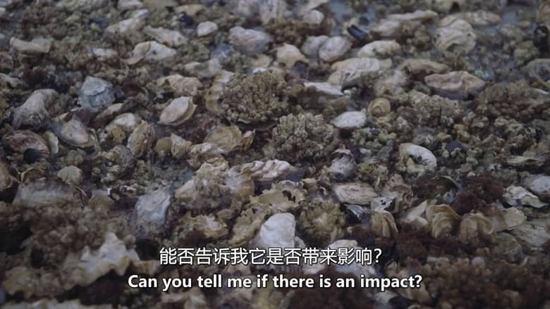 加拿大纪录片《我们的海洋餐桌 Our Ocean Table 2026》全3集 英语中英双字 无水印纯净版 1080P/MKV/2.76G 海洋保护插图6 加拿大纪录片《我们的海洋餐桌 Our Ocean Table 2026》全3集 英语中英双字 无水印纯净版 1080P/MKV/2.76G 海洋保护插图6