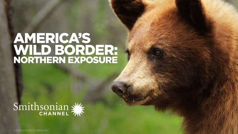 史密森尼频道《美国的狂野边境：北方荒野 America’s Wild Border: Northern Exposure 2020》英语中英双字 无水印纯净版 1080P/MKV/2.98G 美加边境生态插图1