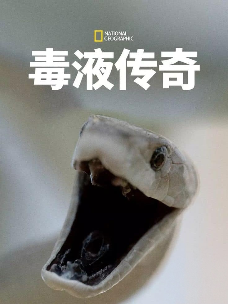 国家地理《毒液传奇 Legends of Venom 2023》第一季全3集 英语中英双字 无水印纯净版 4K超清/2160P/MKV/18.4G 蛇类纪录片插图 国家地理《毒液传奇 Legends of Venom 2023》第一季全3集 英语中英双字 无水印纯净版 4K超清/2160P/MKV/18.4G 蛇类纪录片插图