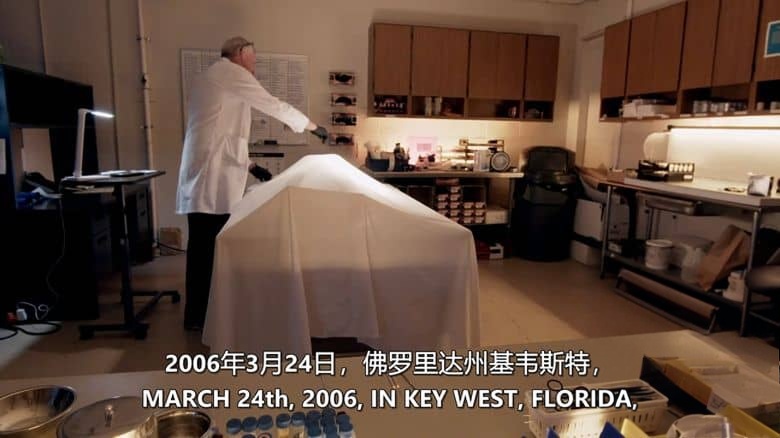 美国纪录片《破案密码 Murder Decoded 2018》全8集 英语中英双字 无水印纯净版 1080P/MKV/14.1G 真实破案插图3 美国纪录片《破案密码 Murder Decoded 2018》全8集 英语中英双字 无水印纯净版 1080P/MKV/14.1G 真实破案插图3