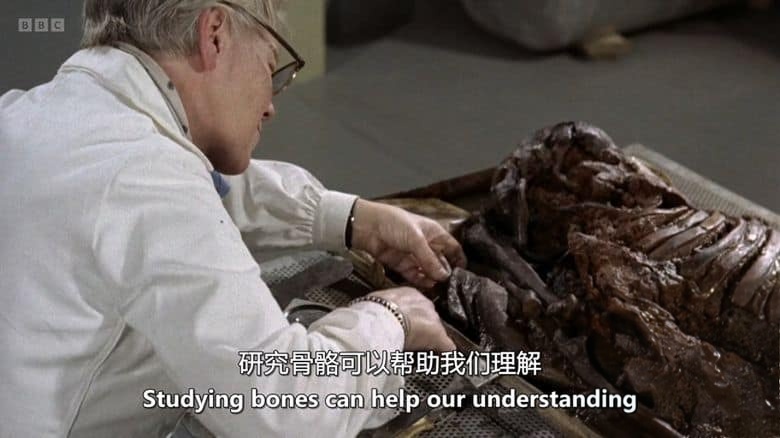 BBC纪录片《幽灵战船:瓦萨号 Vasa: The Ghost Ship 2023》英语中英双字 无水印纯净版 1080P/MKV/1.44G 打捞瓦萨号插图5 BBC纪录片《幽灵战船:瓦萨号 Vasa: The Ghost Ship 2023》英语中英双字 无水印纯净版 1080P/MKV/1.44G 打捞瓦萨号插图5
